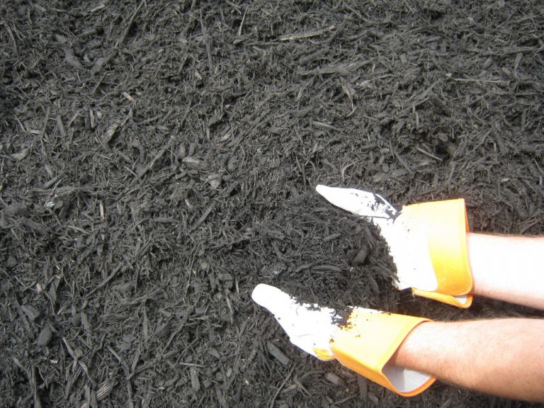 Black Mulch Ridgewood Soils