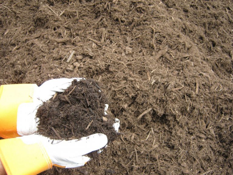 Oak Bark Mulch Ridgewood Soils
