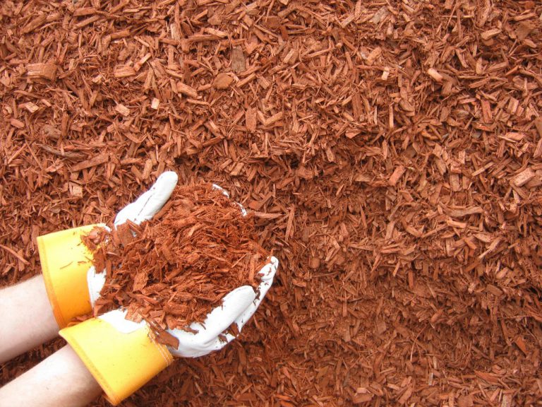 Red Mulch Ridgewood Soils