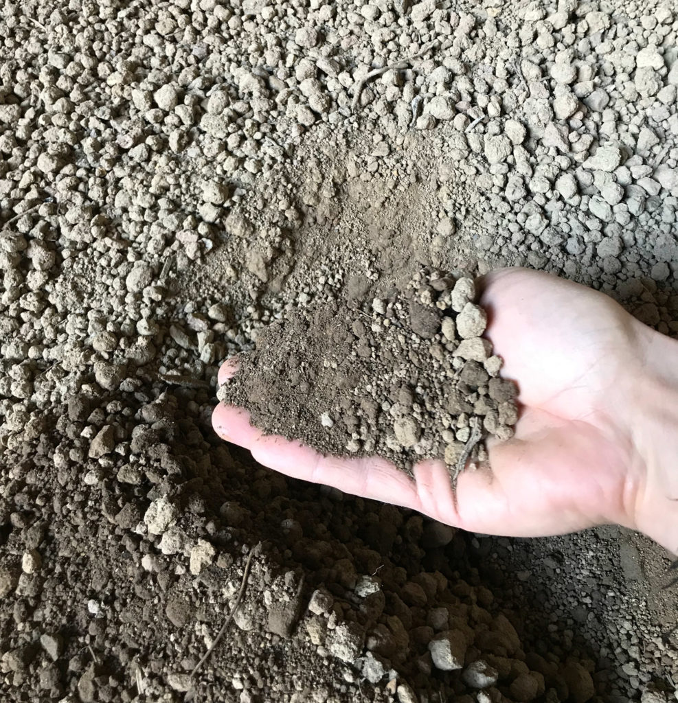 Screened Topsoil Ridgewood Soils