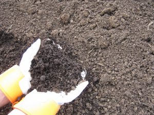 soil compost