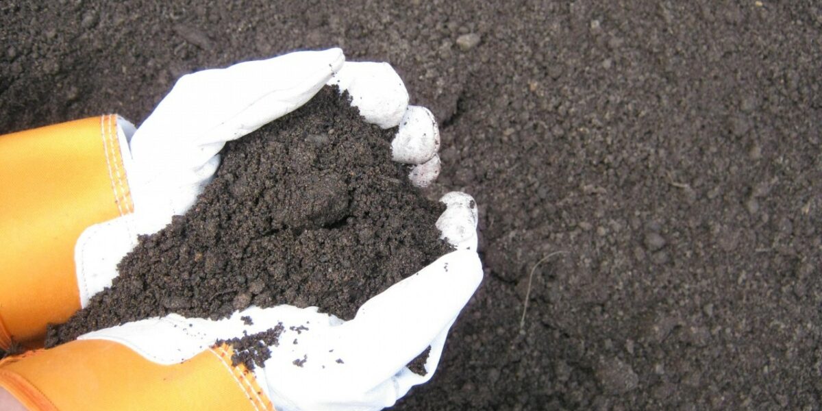 soil topdressing