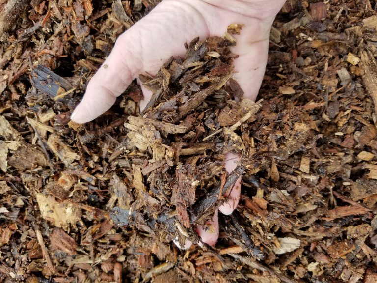 Wood Chips (Screened) Ridgewood Soils