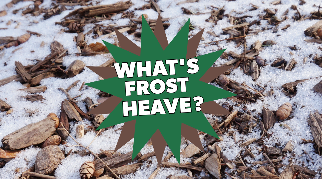 Picture asking whats frost heave
